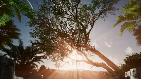 Sunset Beams through Palm Trees Illustrazione stock