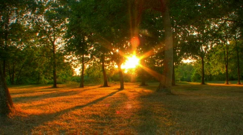 Sunset beams through trees in park motorized hdr time lapse Stock Footage 507502