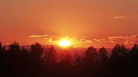 Sunset beams through trees, time lapse Stock Footage 42490953