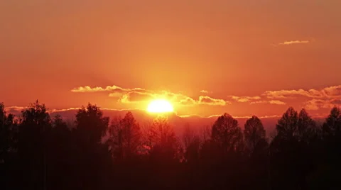 Sunset beams through trees, time lapse Video stock 47194334