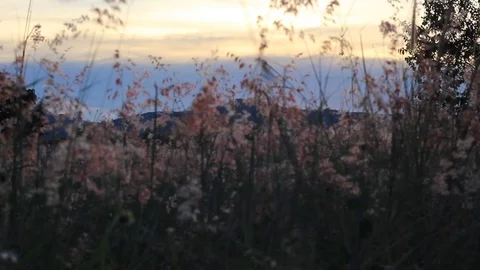 Sunset with beautiful landscape 스톡 동영상 74492935