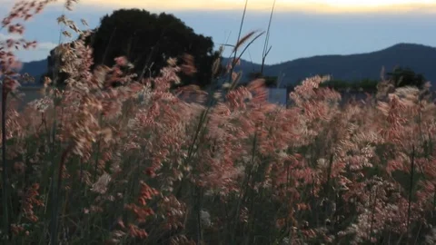 Sunset with beautiful landscape 스톡 동영상 74493217