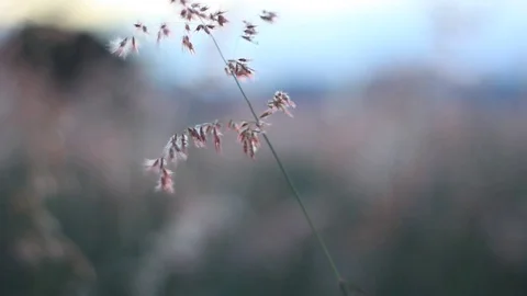 Sunset with beautiful landscape 스톡 동영상 74493288