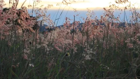 Sunset with beautiful landscape 스톡 동영상 74493412