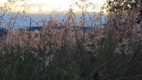 Sunset with beautiful landscape 스톡 동영상 74493609