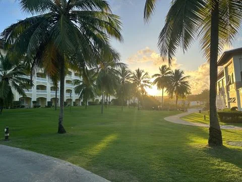 Sunset with beautiful lawn Stock Photos