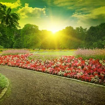 Sunset in a beautiful park 写真素材