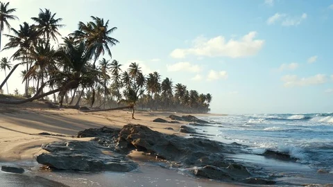 Sunset on a beautiful wild beach. Waves on the sandy shore Stock Footage 124938309