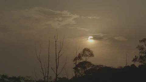 Sunset behain the trees Video stock 140881493