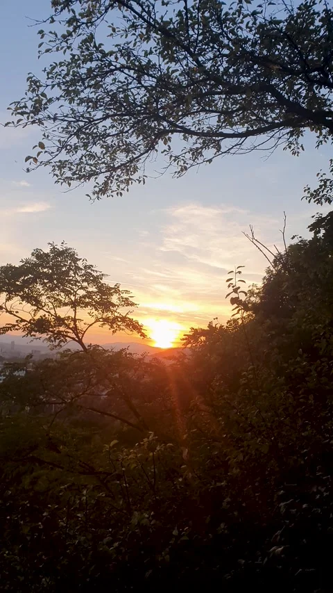 Sunset behind distant hills, warm orange glow through silhouetted branches 스톡 동영상 334915968