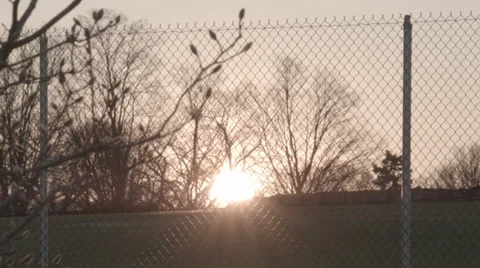 Sunset Behind Fence Stock Footage 33739799