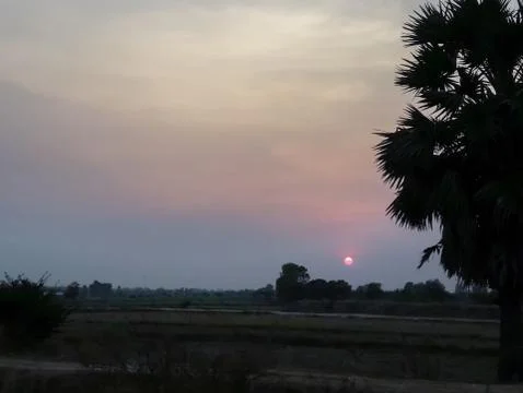 Sunset behind the field Stock Photos