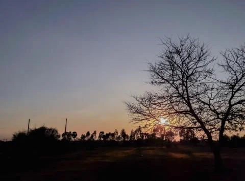 Sunset behind the field Stock Photos