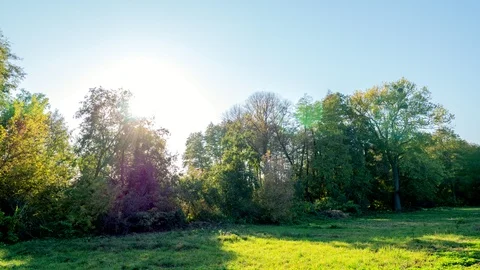 Sunset behind green trees. Sun moving down. Light flares. Time lapse Stock Footage 97299008