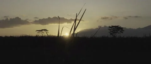 SUNSET BEHIND MOUNTAIN Stock Footage 231546824