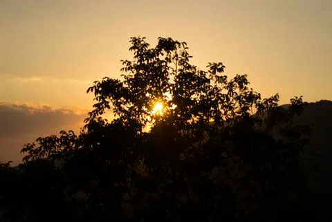 Sunset behind the mountains with tree silhouette Stock Photos