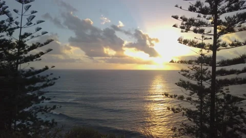 Sunset behind Norfolk Pine trees and rocky shoreline, Norfolk Island Stock Footage 149056006