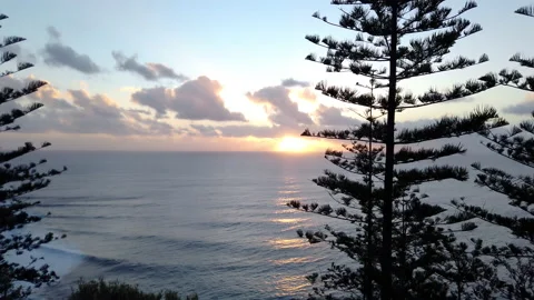 Sunset behind Norfolk Pine trees and rocky shoreline, Norfolk Island Stock Footage 149083086
