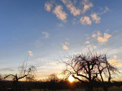 Sunset behind the old fruit trees Stock Photos