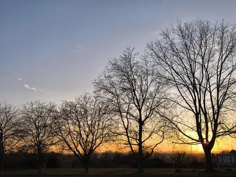 Sunset behind the old walnut tree Stock Photos