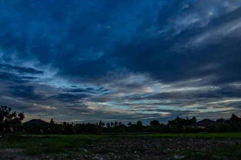 The sunset behind paddy fields and trees. Stock Photos