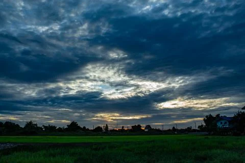The sunset behind paddy fields and trees. Stock Photos