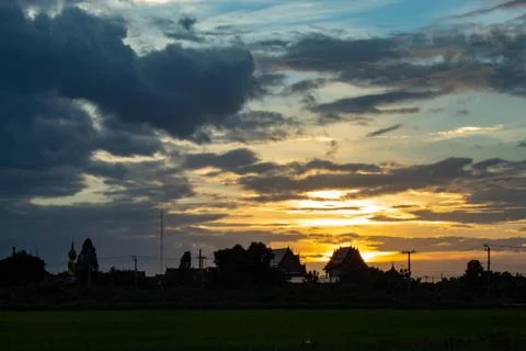 The sunset behind paddy fields and trees. Stock Photos