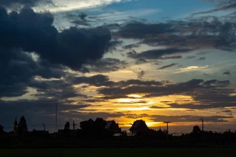 The sunset behind paddy fields and trees. Stock Photos