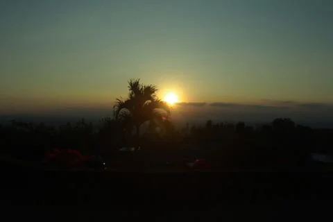 Sunset Behind the Palm Tree Stock Photos