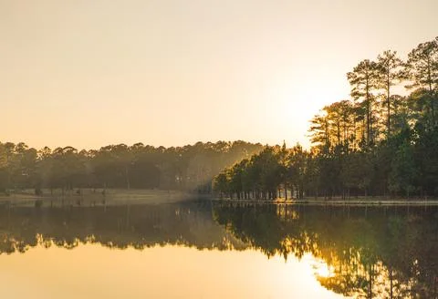 Sunset Behind Pine Trees Over Lake in Mississippi with Reflection in Water Stock Photos