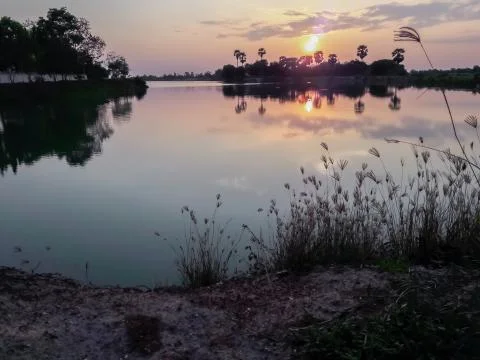 Sunset behind the pond Stock Photos