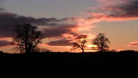 Sunset behind silhouette trees timelapse Stock Footage 154043868