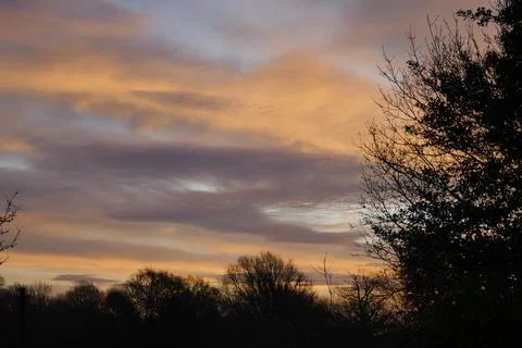 Sunset behind silhouetted trees. Stock Photos