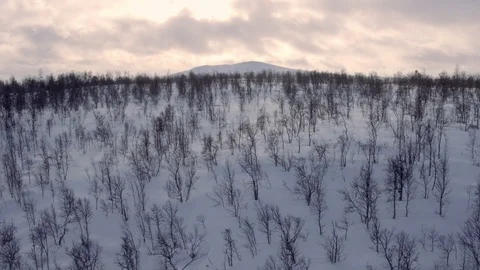 Sunset behind snowy mountain Stock Footage 73043147