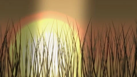 Sunset behind tall grass. 2d animation Видео 344649111