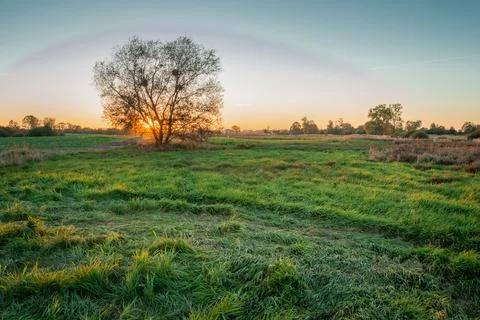 Sunset behind a tree and a green meadow, a halo effect or a strange cloud, Za Stock Photos