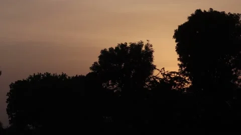 Sunset from behind a tree in the evening Stock Footage 160327946