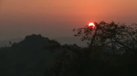 Sunset behind a Tree 스톡 동영상 10578200