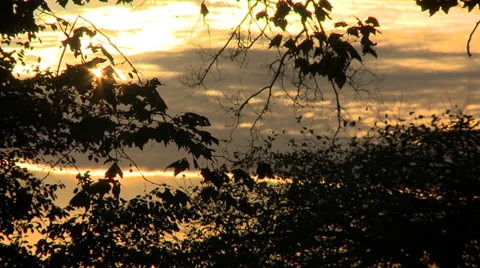 Sunset behind a tree Video stock 33886151