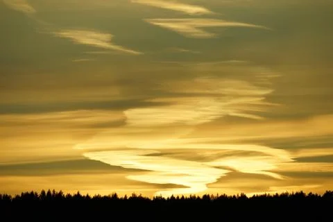 Sunset behind tree in the forest. Stock Photos