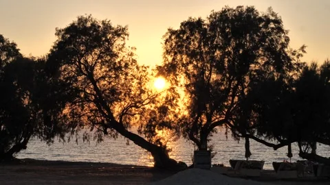 Sunset Behind Tree on Kos Beach Looking Towards Bodrum Turkey Stock Footage 316246155
