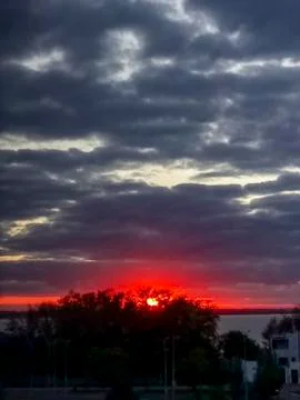 Sunset behind a tree on the lake Stock Photos