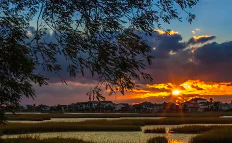 Sunset behind a tree Stock Photos