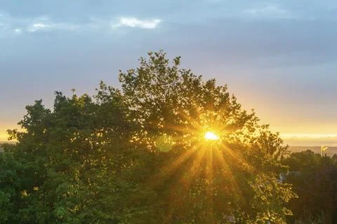 Sunset behind tree Stock Photos
