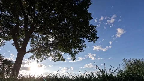 Sunset Behind Tree Time Lapse 스톡 동영상 250304897