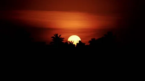 Sunset behind trees and buildings 스톡 동영상 236372656