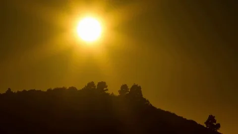 Sunset behind the trees and the mountain Stock Footage 77193833