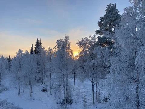 Sunset behind the trees on a cold winter day in Finland Stock Photos