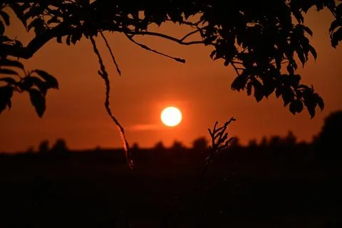 Sunset behind trees in a countryside setting during evening hours Stock Photos