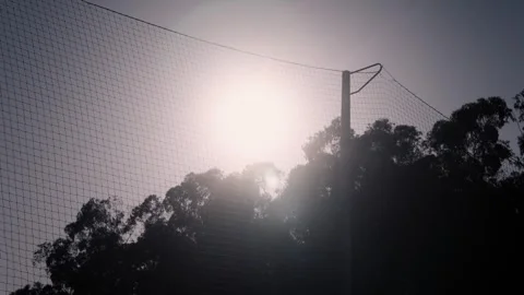 Sunset Behind Trees in a Dramatic Evening Landscape Stock Footage 341872724